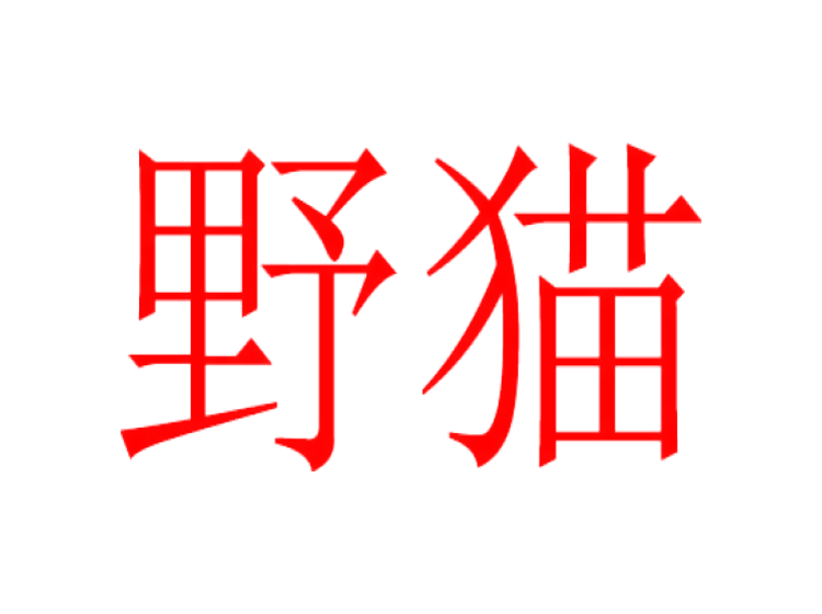 野猫